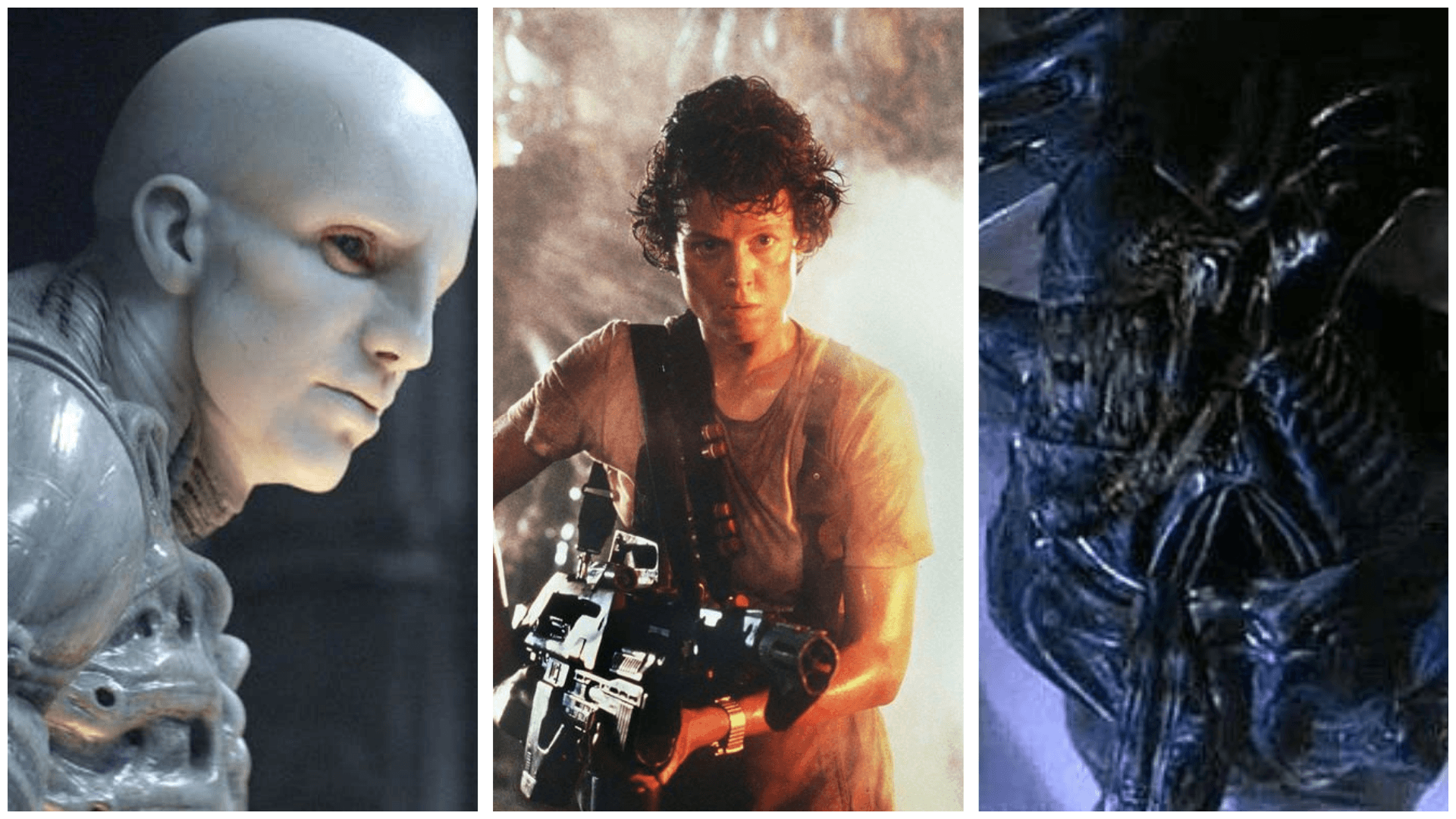 Alien Movies in Order: The Complete Chronological Timeline